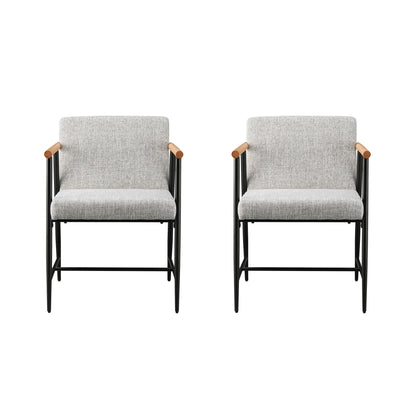 Modern Dining Chair With Iron Frame (Set of 2)