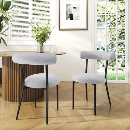 Modern Dining Room Chairs (Set of 2)