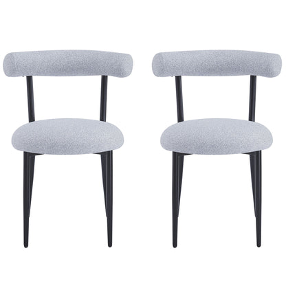 Modern Dining Room Chairs (Set of 2)