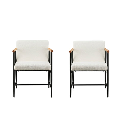 Modern Dining Chair With Iron Frame (Set of 2)