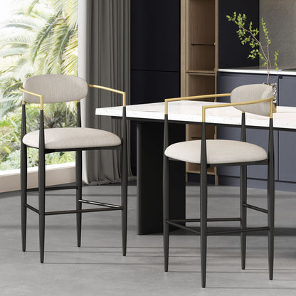 Counter Height Upholstered Barstools (Set of 2)