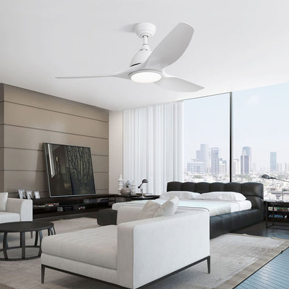 Bredoom Ceiling Fan With Remote Control And LED Light, Blades, Reversible DC Motor For Indoor / Outdoor Use