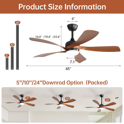 Ceiling Fan & DC Motor And Integrated Light