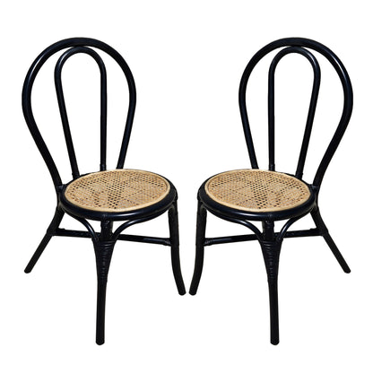 Rattan Dining Chair (Set of 2) - Black Multi
